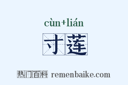 寸莲是什么意思的图片